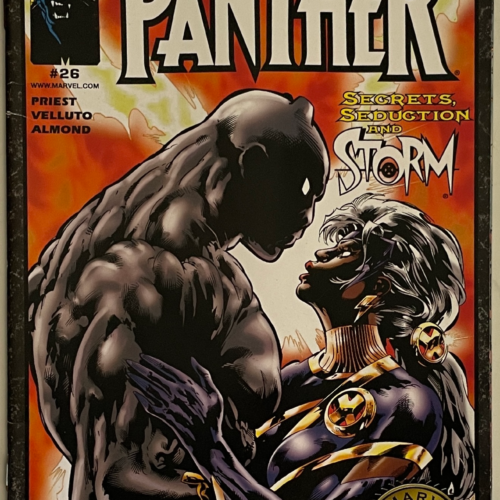 Black Panther - Secrets, Seduction and Storm #26 - Image 1